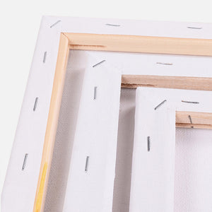 5x Artist Canvas Blank Stretched Canvases-1973193869352898563