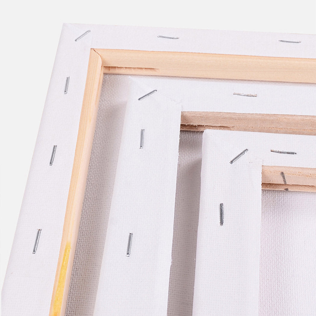 5x-artist-canvas-blank-stretched-canvases-1973193869352898563