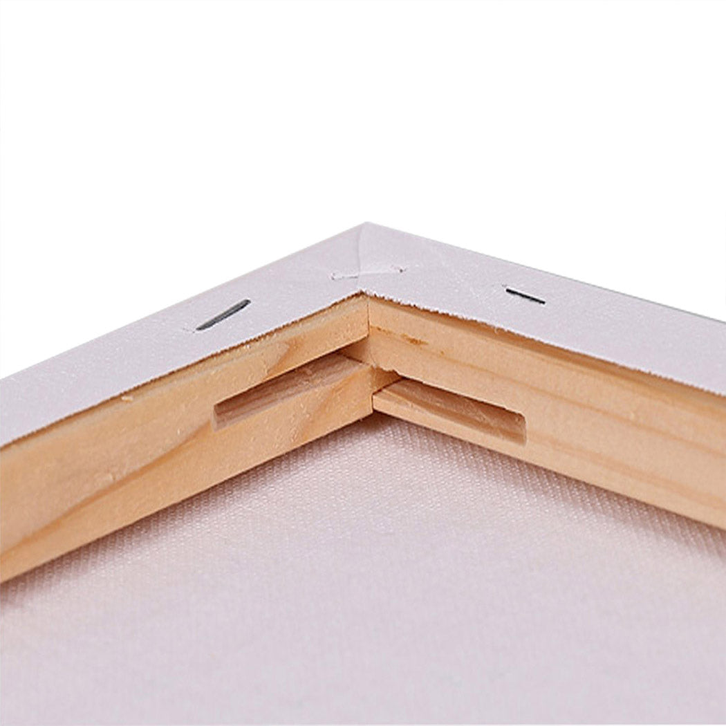 5x-artist-canvas-blank-stretched-canvases-1973193869352898564