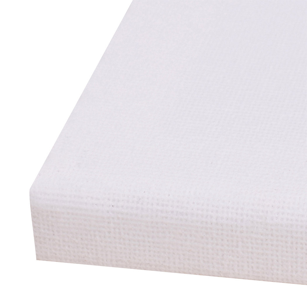 5x-artist-canvas-blank-stretched-canvases-1973193869352898566