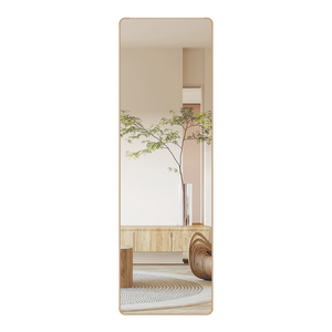Yezi 120cm Wall Mounted Full Length Mirror Door Hanging-1996005425467756552