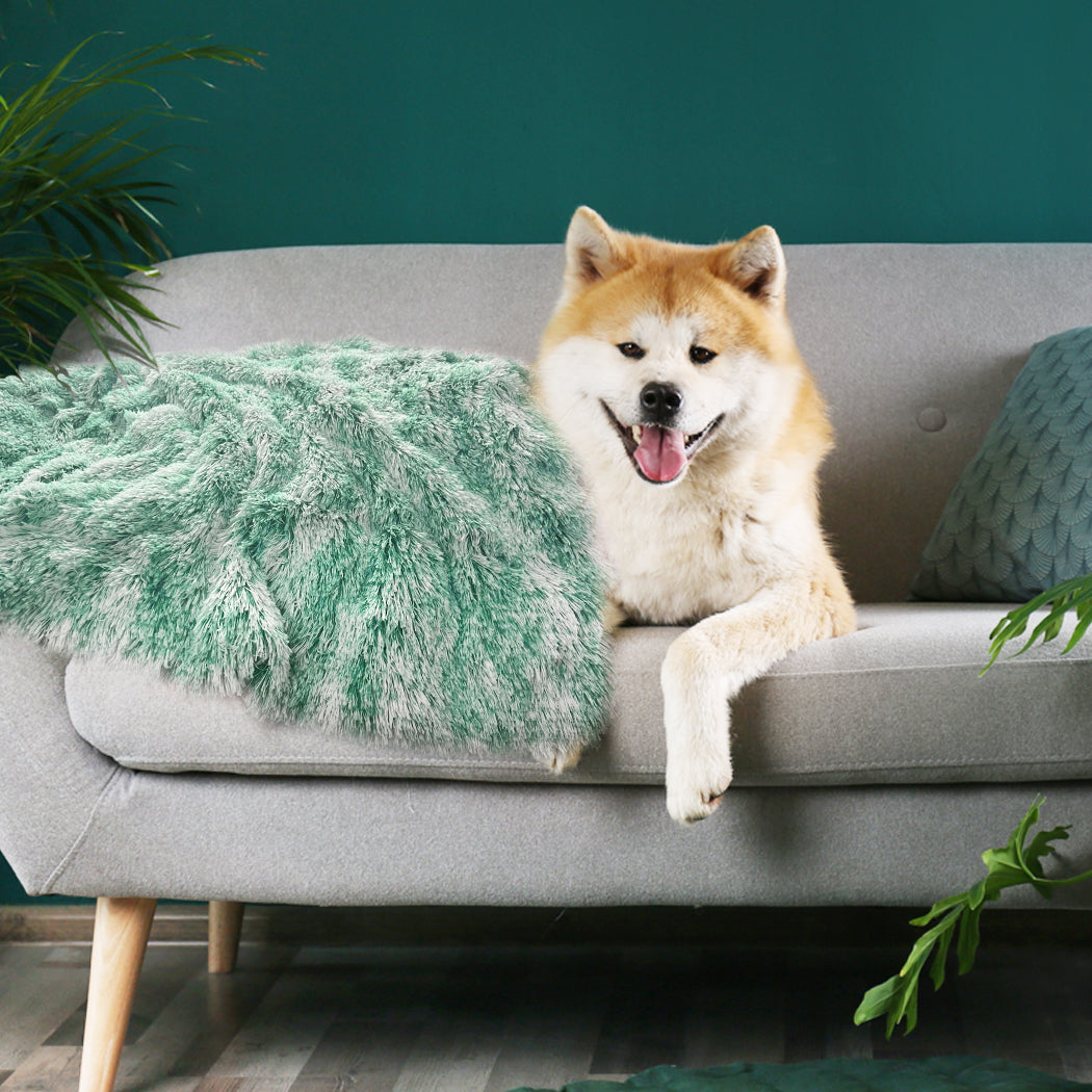 pawz-dog-blanket-pet-cat-mat-puppy-warm-teal-1975420458325118982