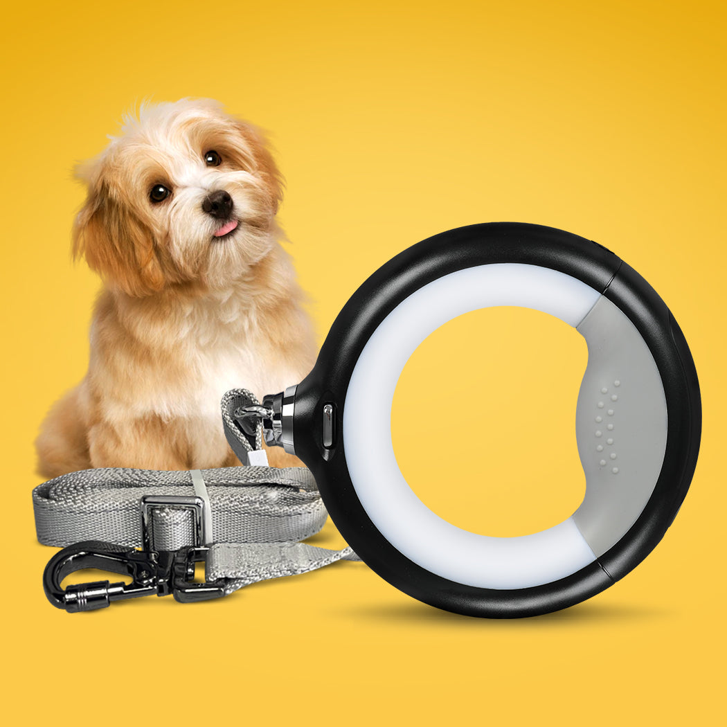 pawz-led-dog-leash-lead-walking-rope-black-1975420394810773510