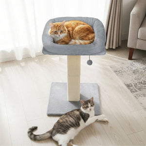 Pawz Cat Scratcher Big Perch Bed-1996005542006493190