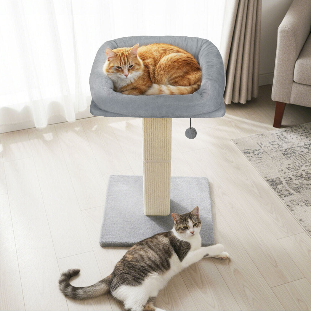 pawz-cat-scratcher-big-perch-bed-1996005542006493190