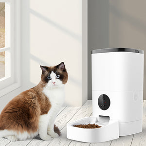 PaWz 6L Auto Feeder Pet Automatic Camera-1975420452721528838