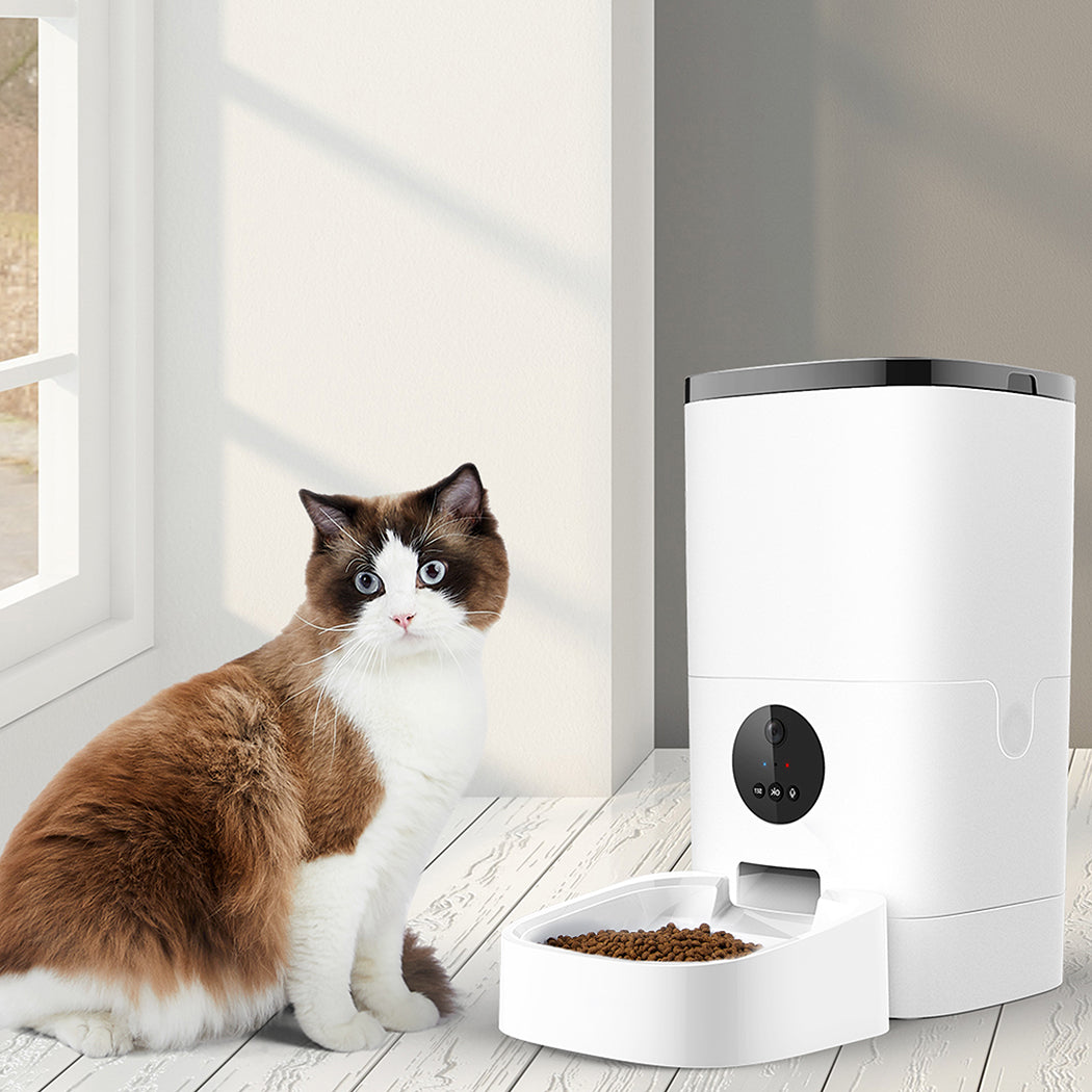 pawz-6l-auto-feeder-pet-automatic-camera-1975420452721528838