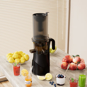 Spector Juicer Cold Press Vegetable Fruit Juice-1996005448356073478