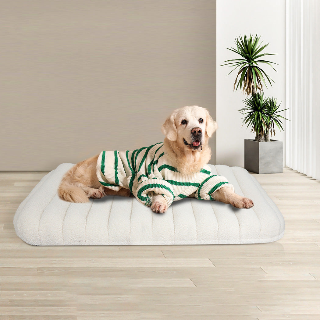 pawz-l-size-orthopedic-dog-bed-with-sherpa-plush-removable-cover-in-white-1996005458200104966