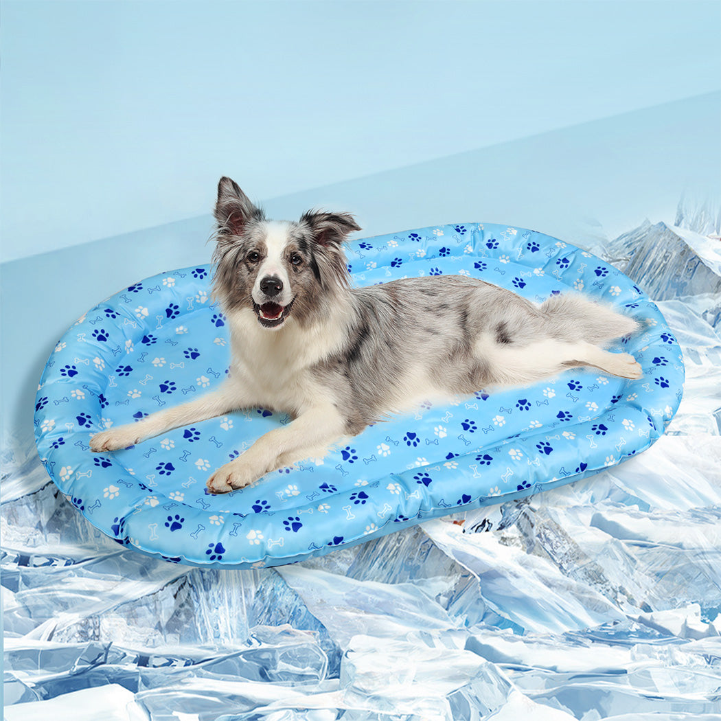 pawz-pet-cooling-mat-l-blue-1996005411081293830