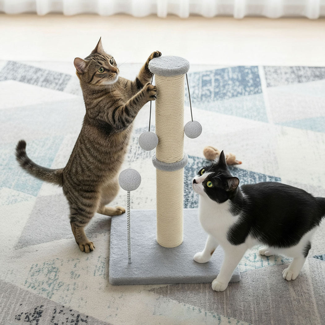 pawz-cat-scratcher-tower-scratching-post-1996005539607351302