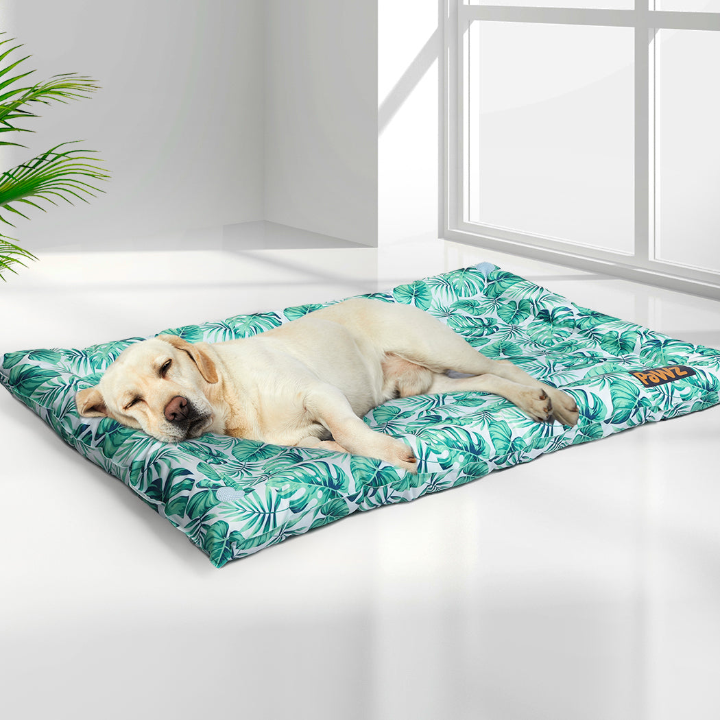 pawz-pet-cool-gel-mat-cat-bed-dog-bolster-m-medium-1973193649453928454