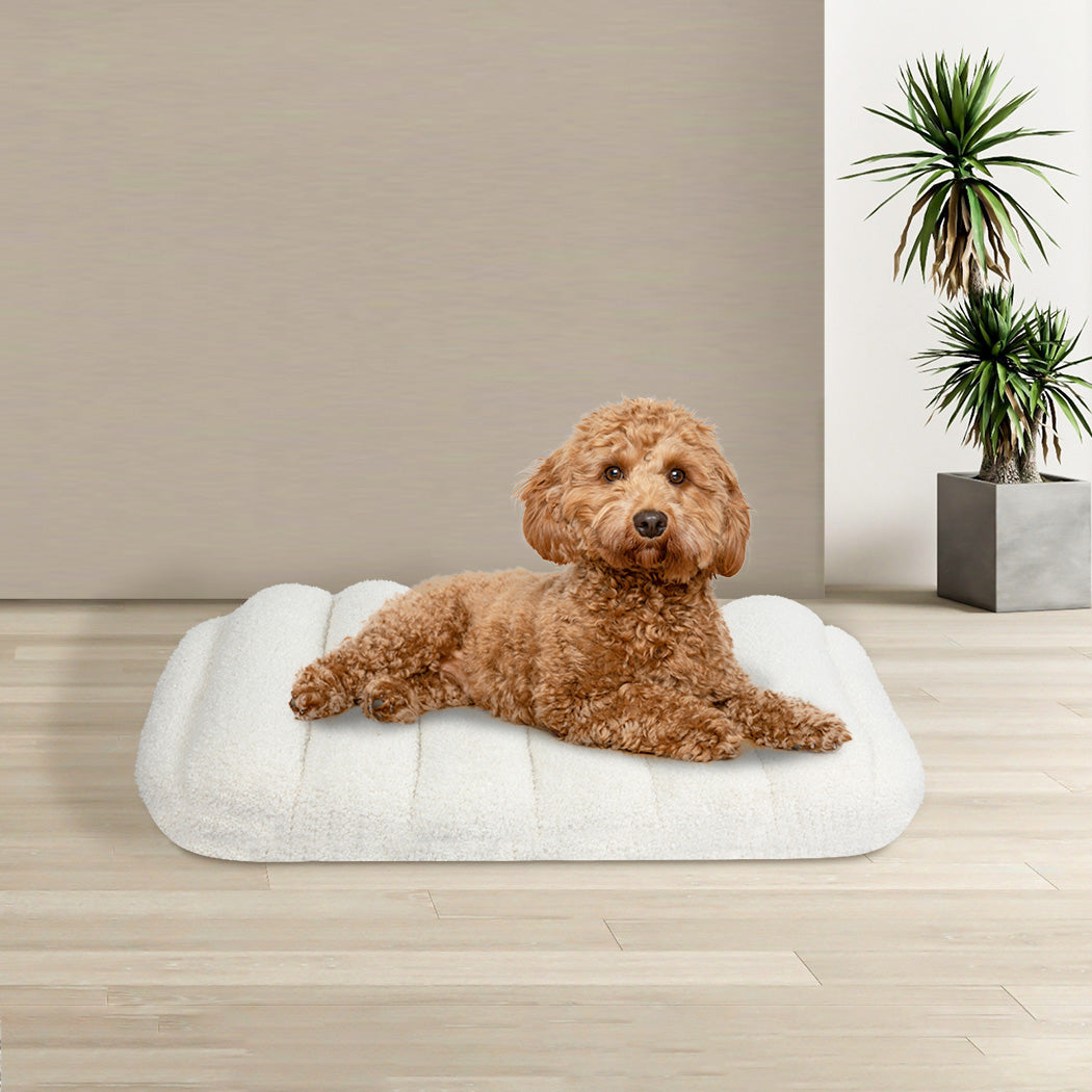 pawz-s-size-orthopedic-dog-bed-with-sherpa-plush-removable-cover-in-white-1996005458921525254