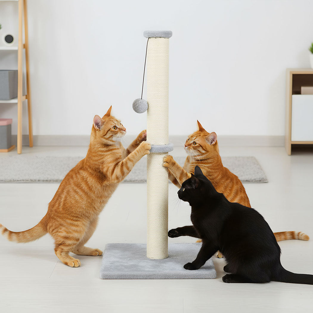 pawz-cat-scratcher-scratching-post-1996005541633200134