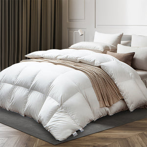 DreamZ 500GSM All Season Goose Down Queen-1973193830257790982