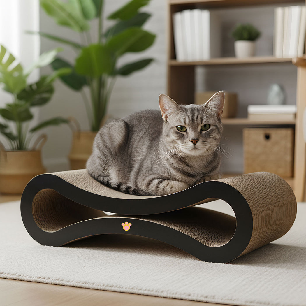 pawz-cat-scratcher-board-bed-scratching-cardboard-1996005541075357702