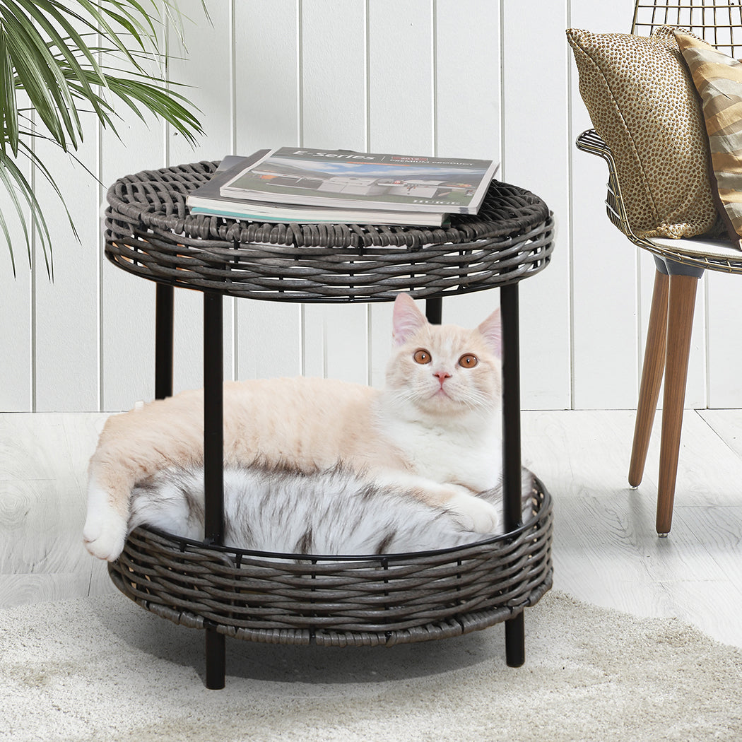 pawz-rattan-pet-bed-elevated-raised-1975420452511813638