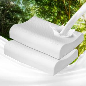 Dreamz 2x Natural Latex Pillow Removable-1973194023480987654