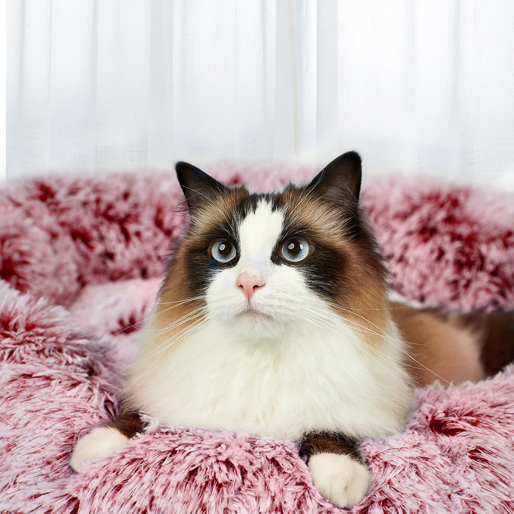 pawz-pet-bed-memory-foam-dog-donut-pink-large-1973193686930034694