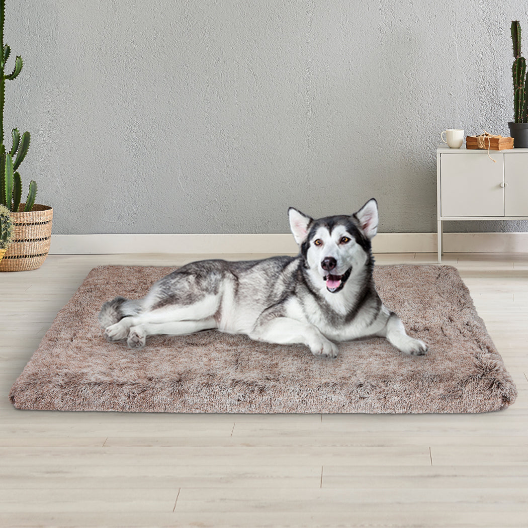 pawz-dog-mat-pet-calming-bed-memory-xl-coffee-x-large-1973193661260894214
