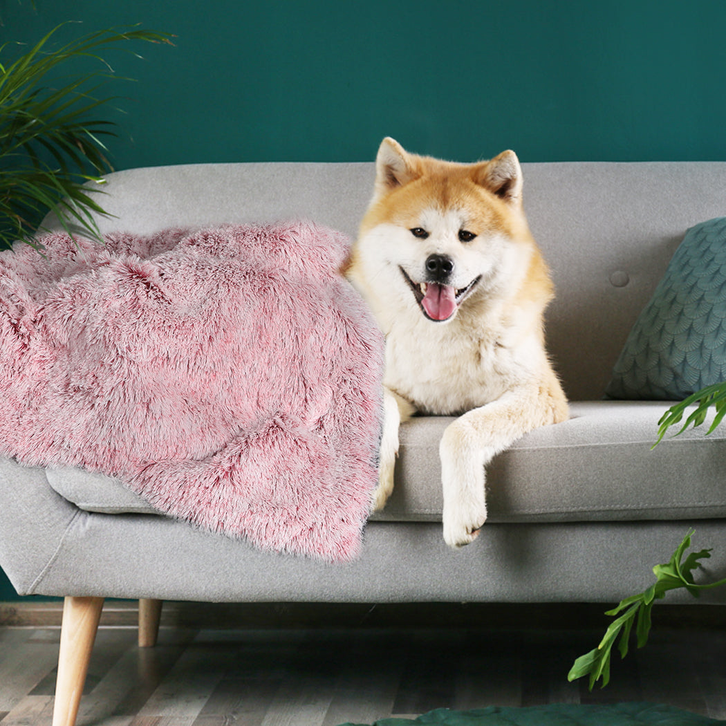 pawz-dog-blanket-pet-cat-mat-puppy-warm-pink-1975420458136375302