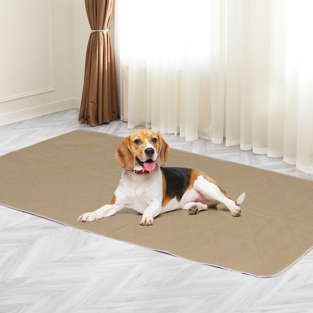 pawz-2-pcs-90x90-cm-reusable-waterproof-xx-large-1973193826868793350