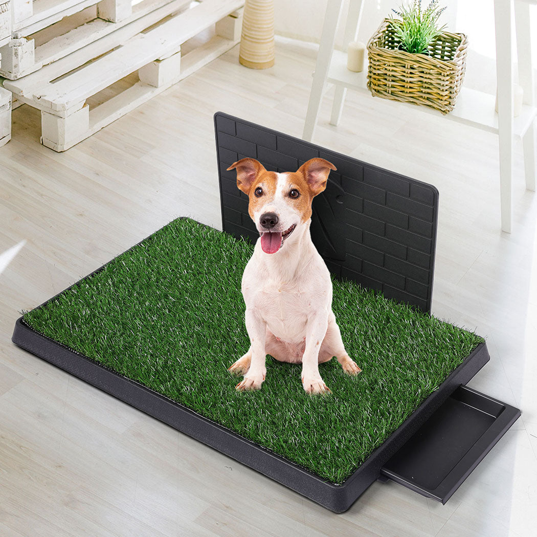 pawz-indoor-dog-pet-grass-potty-training-l-1973193644177494022