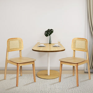 Levede 8x Rattan Dining Chair Wooden Kitchen Chair-1996005585555951622