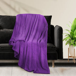 DreamZ 320GSM 220x240cm Ultra Soft Mink Aubergine Queen-1973194034512007174