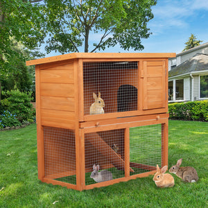 Pawz Rabbit Hutch-1996005414113775622