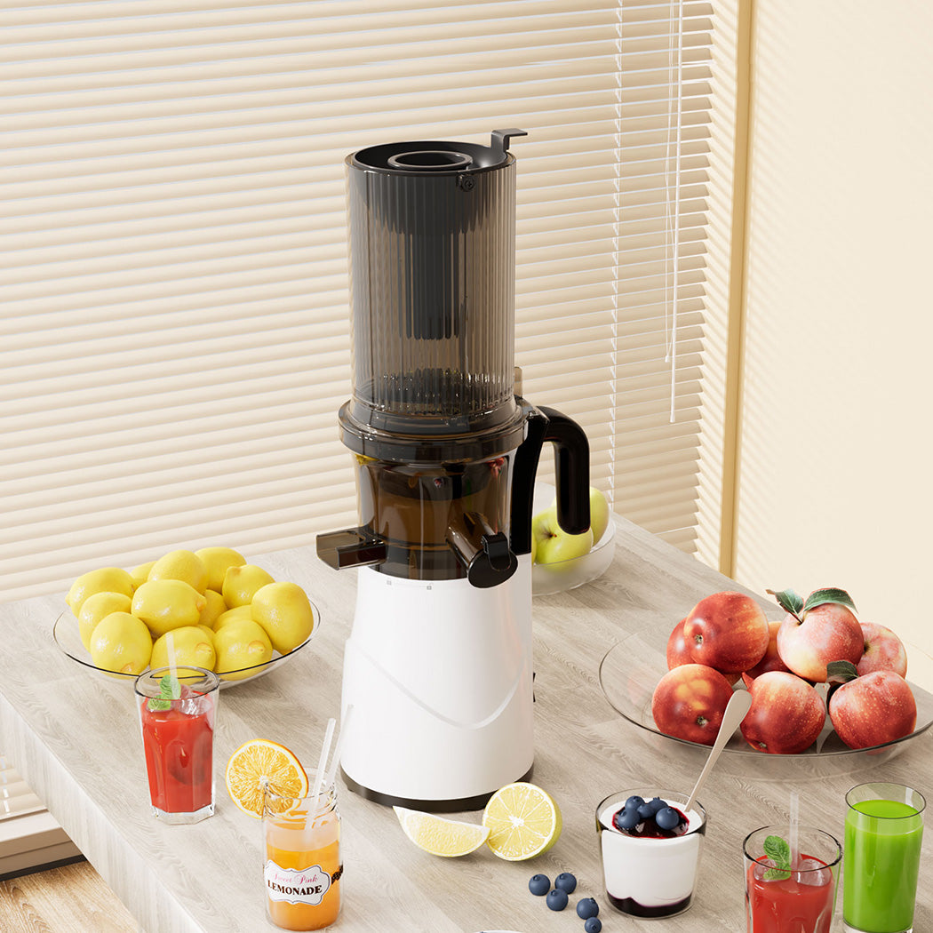 spector-electric-cold-press-juicer-whole-fruit-1996005448536428550