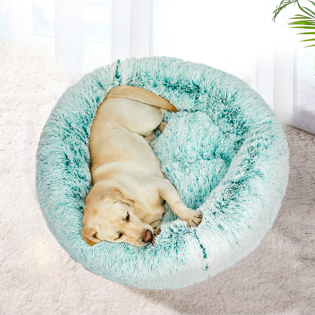pawz-replaceable-cover-for-dog-calming-l-teal-cover-large-1975420446639788038