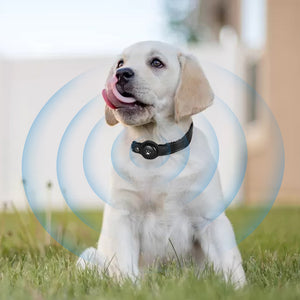 PaWz Bluetooth Pet Tracker Collar Dog Black-1973193679573225478