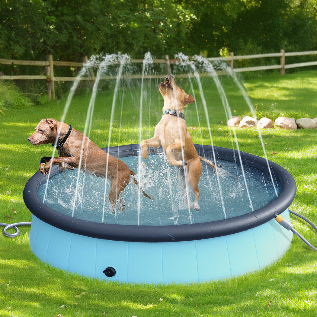 pawz-folding-dog-swimming-pool-1996005407352557574