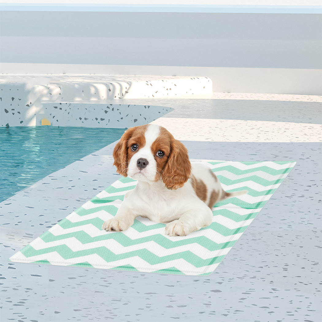 pawz-pet-cooling-mat-s-green-1996005412691906566