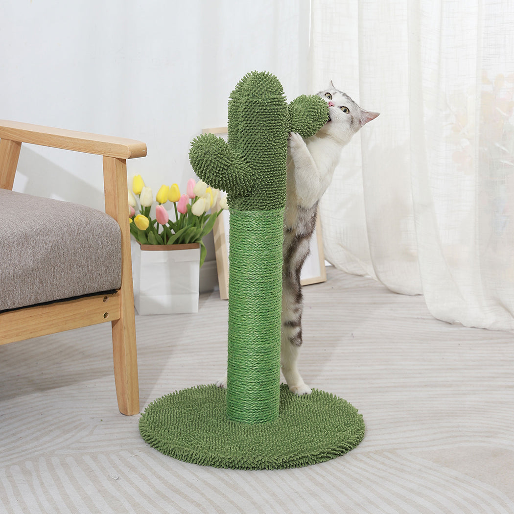 cactus-cat-scratching-posts-pole-tree-1973193644559175686