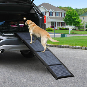 Pawz Dog Ramp-1996005406287204358