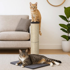 Pawz Cat Scratcher Scratching Post-1996005541817749510