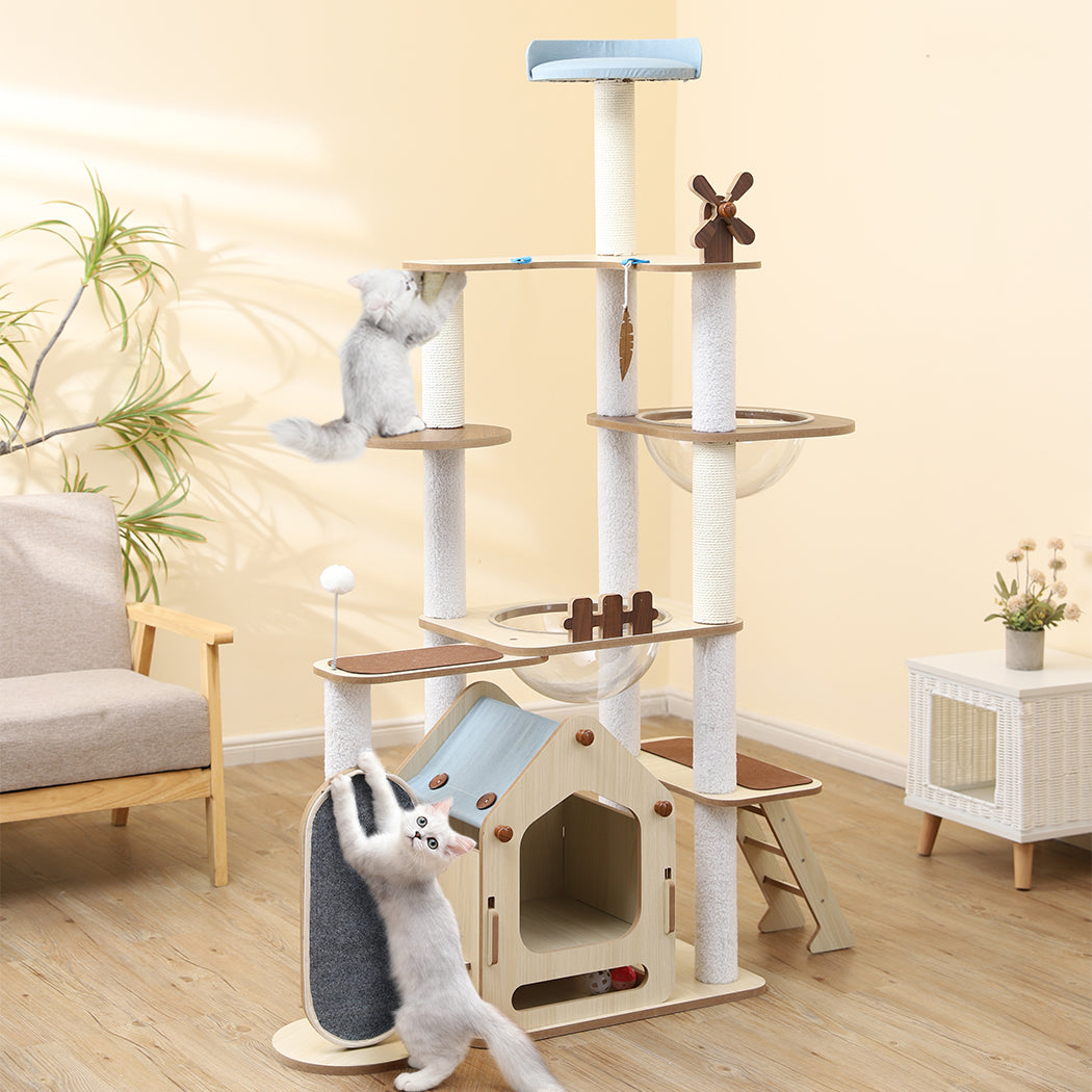 pawz-cat-tree-scratching-post-scratcher-1973193674208710662