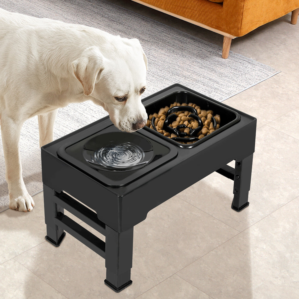 pawz-elevated-pet-feeder-4-height-adjustable-1975420394450063366