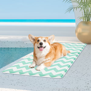 Pawz Pet Cooling Mat M Green-1996005411966291974