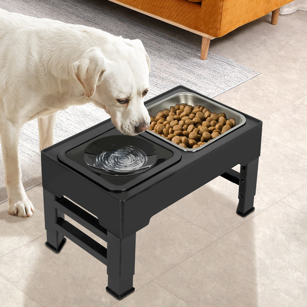 pawz-elevated-pet-feeder-4-height-adjustable-1975420394634612742