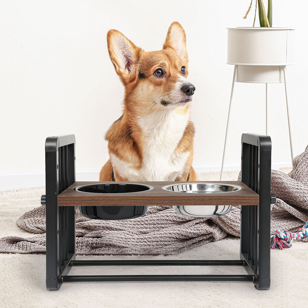 pawz-adjustable-height-pet-feeder-elevated-medium-1973193682979000326