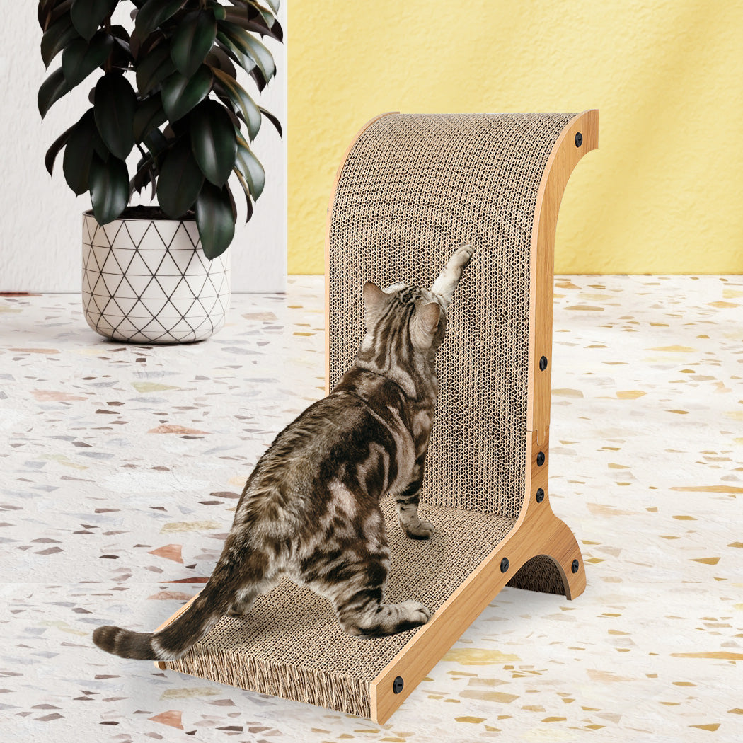 pawz-cat-scratch-pad-cardboard-kitten-1973193667875311622