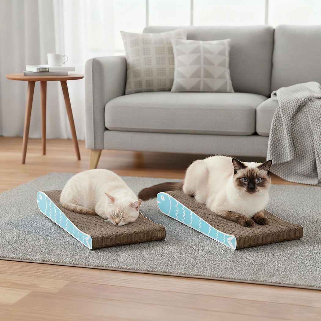 pawz-2x-cat-scratcher-board-bed-1996005541264101382