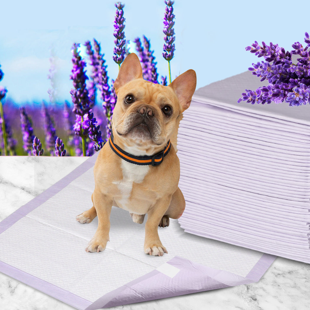 pawz-100x-pet-dog-toilet-training-pad-1973193681661988870