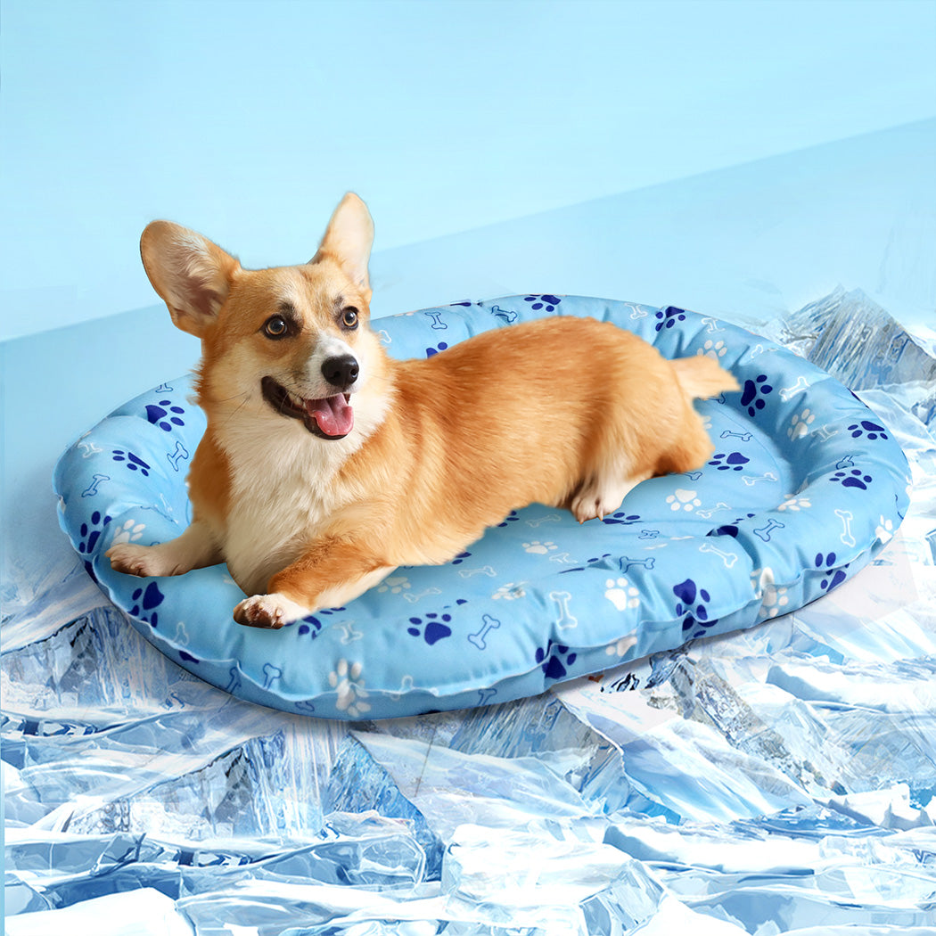 pawz-pet-cooling-mat-m-blue-1996005411798519814