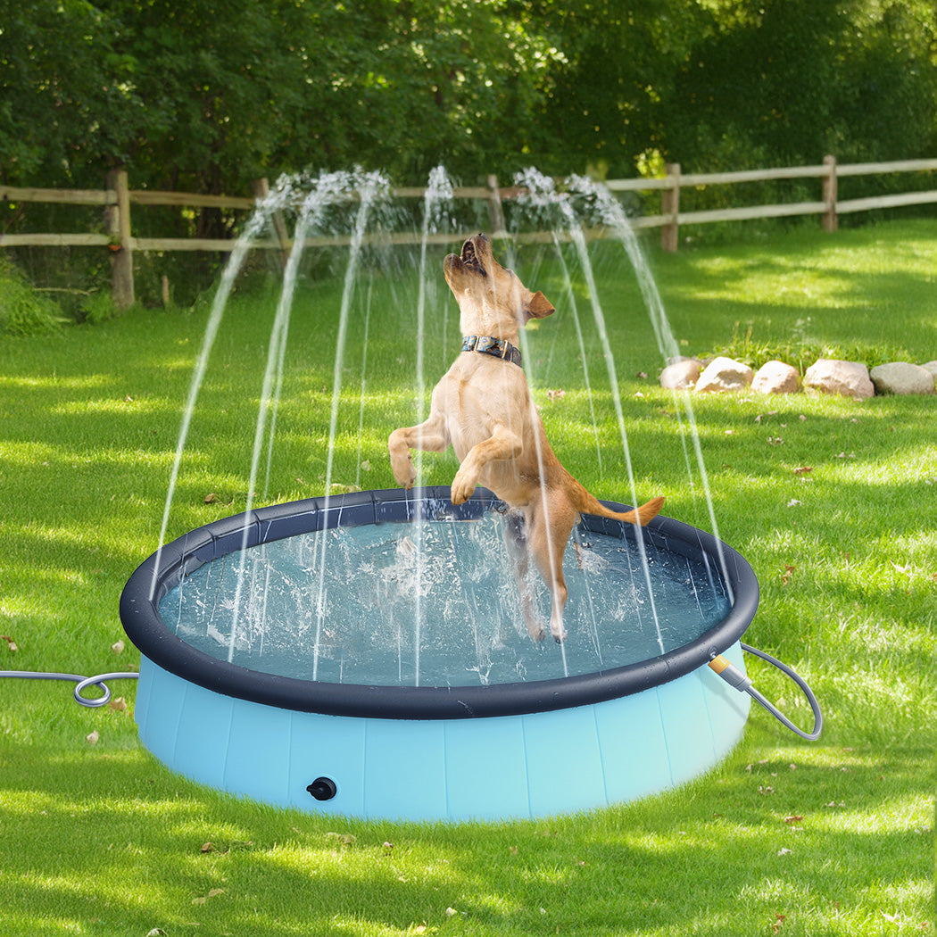 pawz-folding-dog-swimming-pool-1996005406996041734