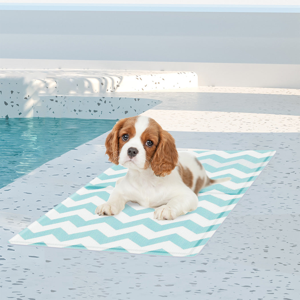 pawz-pet-cooling-mat-s-blue-1996005412331196422