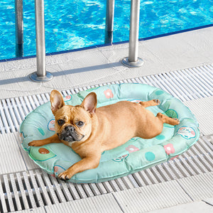 Pawz Pet Cooling Mat S Green-1996005412872261638